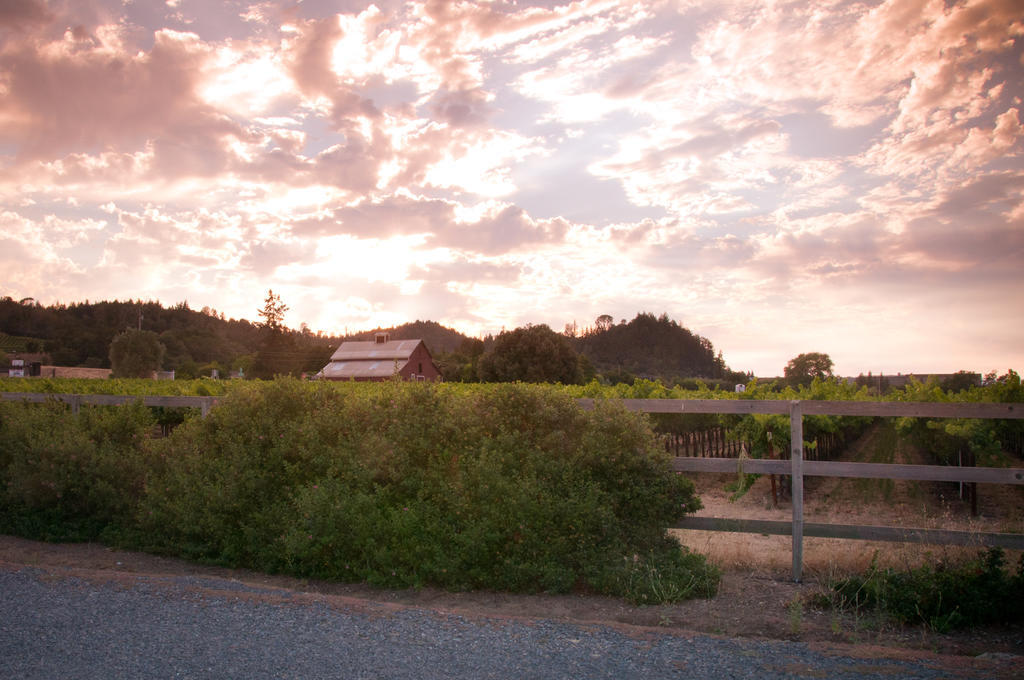 Geyserville Inn Buitenkant foto